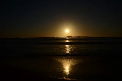 DSC_7079 (Large).JPG